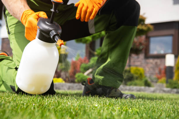 Best Wildlife Control Services  in Lemoyne, PA