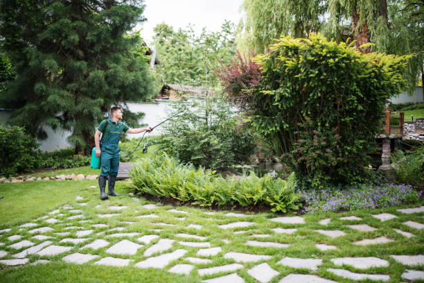 Best Insect Control  in Lemoyne, PA