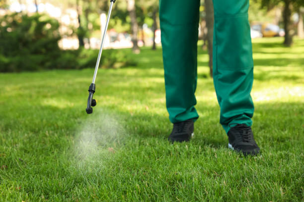 Best Commercial Pest Control Services  in Lemoyne, PA