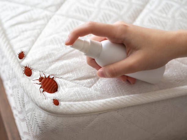 Pest Control for Restaurants in Lemoyne, PA